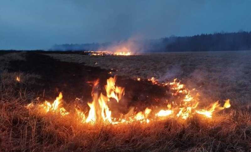 В Ростовской области произошёл крупный пожар, причиной которого стала вспыхнувшая сухая трава