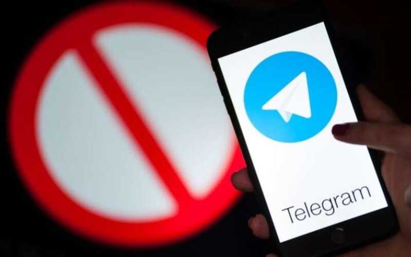 В Telegram заблокировали стикеры с изображением Гитлера и лягушонка Пепе